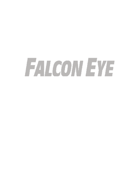 I Touch Falcon Eye  -  3